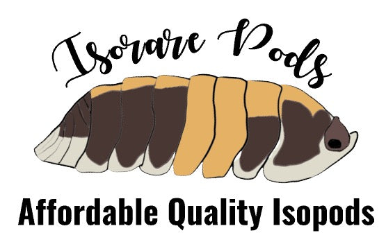 Isorarepods logo